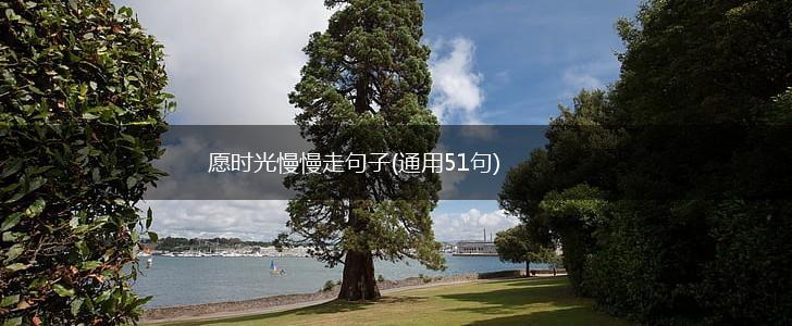 愿时光慢慢走句子(通用51句),第1张