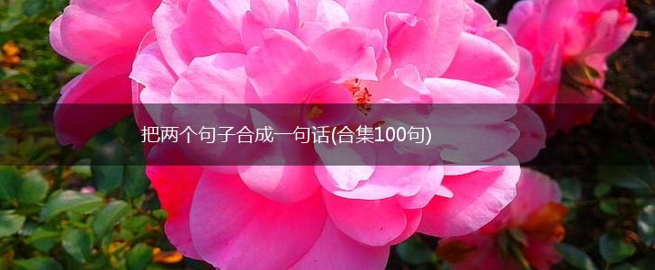 把两个句子合成一句话(合集100句),第1张 把两个句子合成一句话(合集100句),第1张