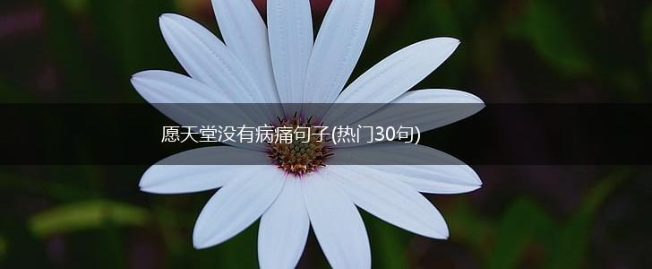 愿天堂没有病痛句子(热门30句),第1张