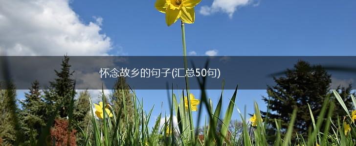 怀念故乡的句子(汇总50句),第1张