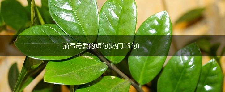 描写母爱的短句(热门15句),第1张 描写母爱的短句(热门15句),第1张