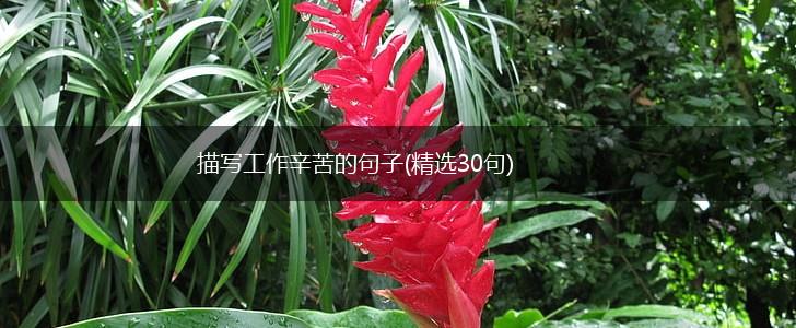 描写工作辛苦的句子(精选30句),第1张