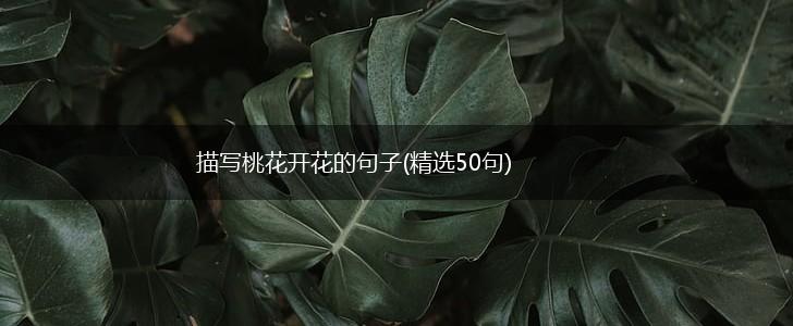 描写桃花开花的句子(精选50句),第1张 描写桃花开花的句子(精选50句),第1张