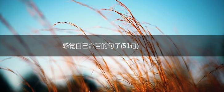 感觉自己命苦的句子(51句),第1张