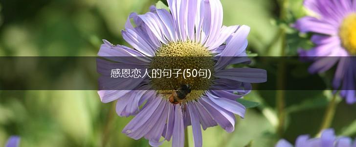 感恩恋人的句子(50句),第1张
