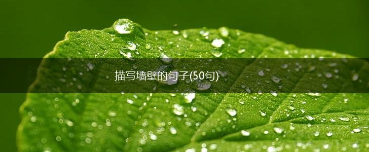 描写墙壁的句子(50句),第1张