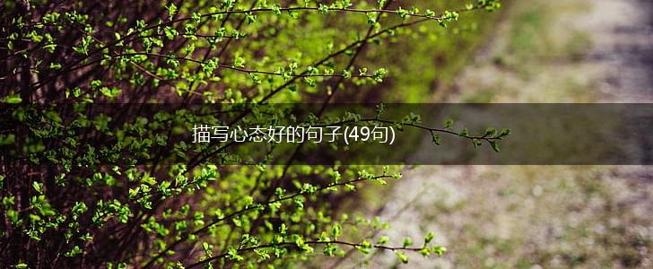 描写心态好的句子(49句),第1张