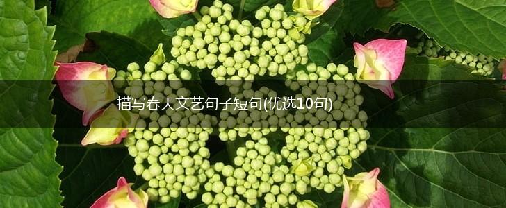 描写春天文艺句子短句(优选10句),第1张