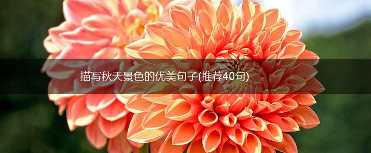 描写秋天景色的优美句子(推荐40句),第1张