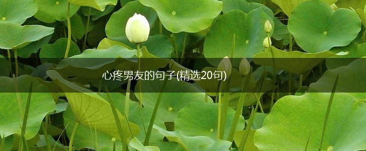 心疼男友的句子(精选20句),第1张