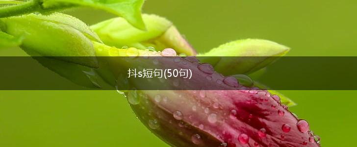 抖s短句(50句),第1张