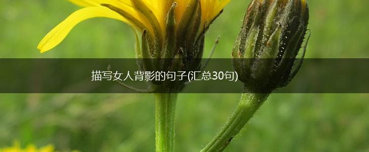 描写女人背影的句子(汇总30句),第1张