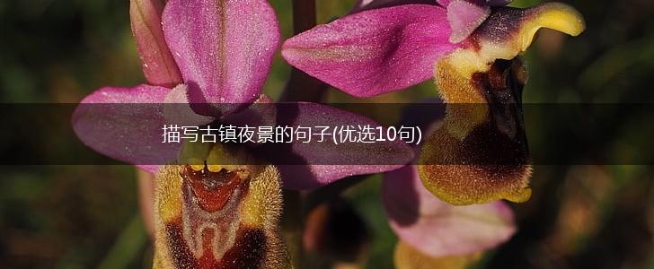 描写古镇夜景的句子(优选10句),第1张