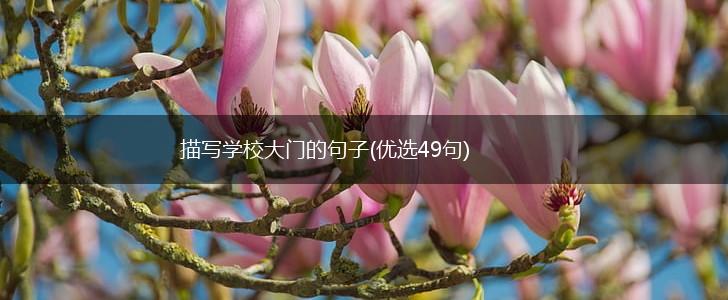 描写学校大门的句子(优选49句),第1张