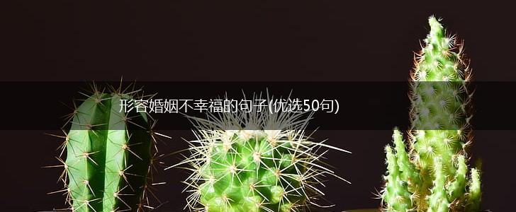 形容婚姻不幸福的句子(优选50句),第1张