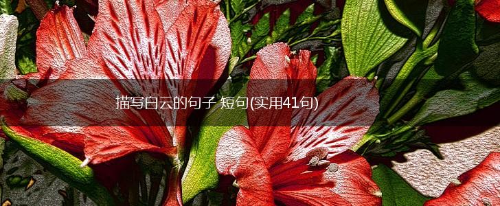 描写白云的句子 短句(实用41句),第1张