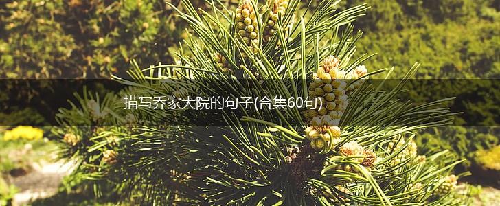 描写乔家大院的句子(合集60句),第1张