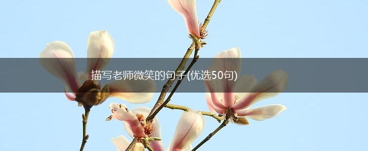描写老师微笑的句子(优选50句),第1张