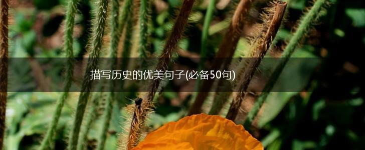 描写历史的优美句子(必备50句),第1张