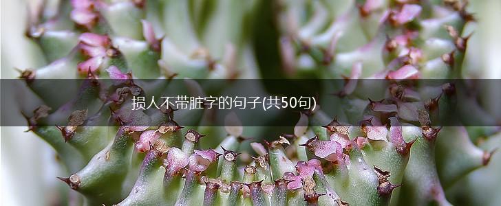 损人不带脏字的句子(共50句),第1张