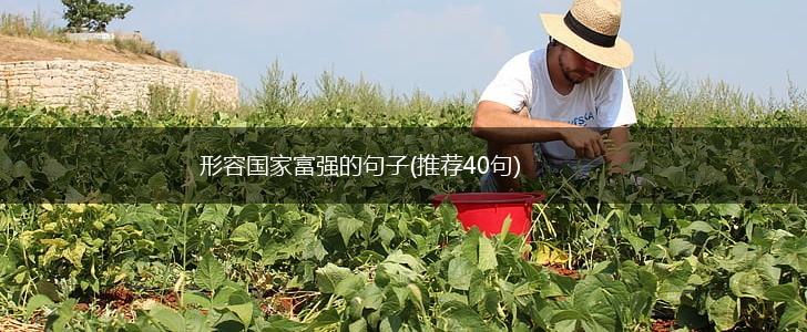 形容国家富强的句子(推荐40句),第1张