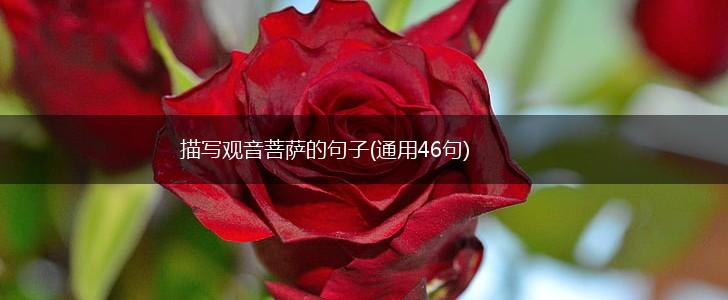 描写观音菩萨的句子(通用46句),第1张