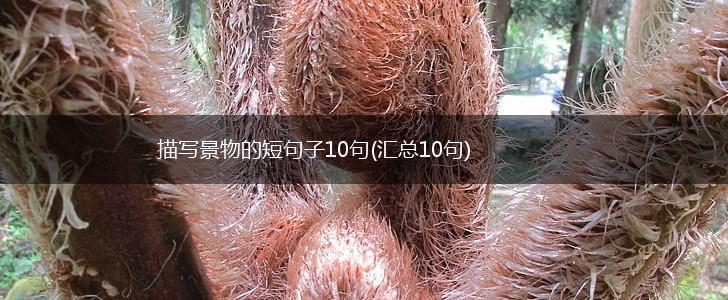 描写景物的短句子10句(汇总10句),第1张