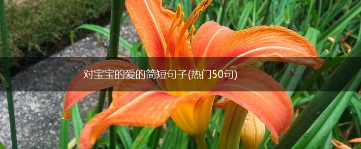 对宝宝的爱的简短句子(热门50句),第1张