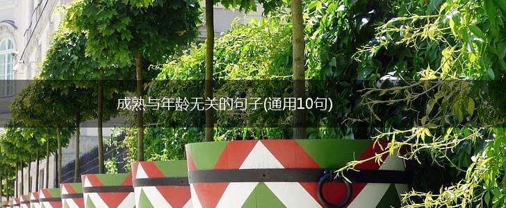 成熟与年龄无关的句子(通用10句),第1张