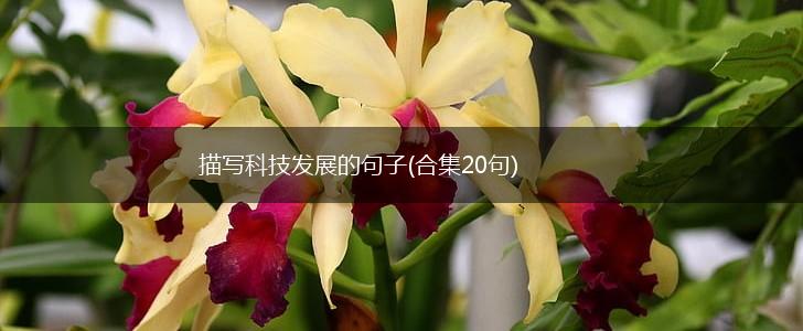 描写科技发展的句子(合集20句),第1张