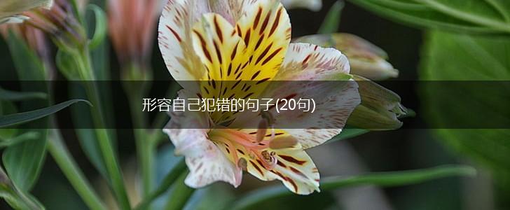 形容自己犯错的句子(20句),第1张