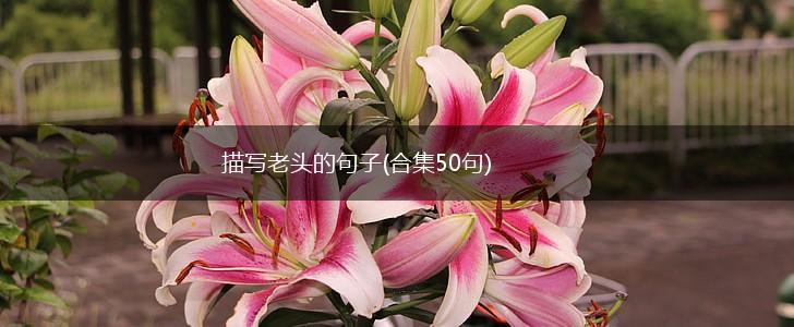 描写老头的句子(合集50句),第1张