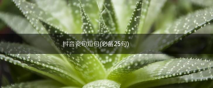 抖音丧句短句(必备25句),第1张 抖音丧句短句(必备25句),第1张