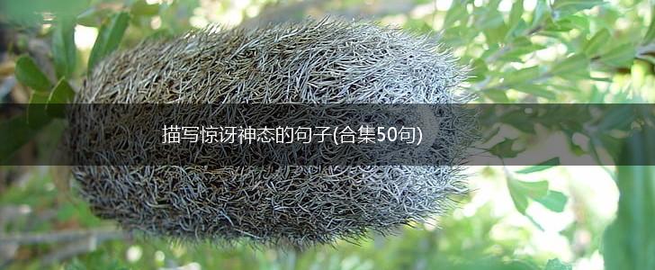 描写惊讶神态的句子(合集50句),第1张