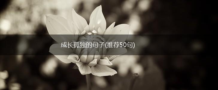 成长孤独的句子(推荐50句),第1张