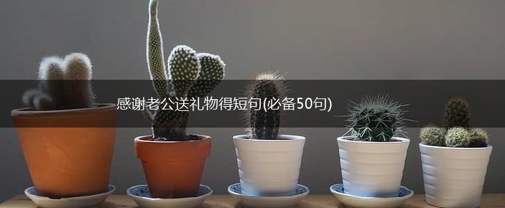 感谢老公送礼物得短句(必备50句),第1张