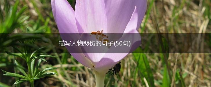 描写人物悲伤的句子(50句),第1张
