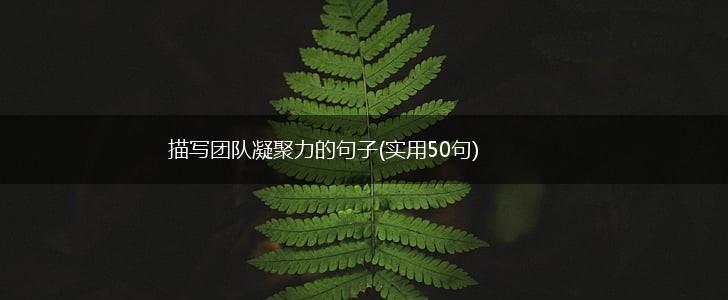 描写团队凝聚力的句子(实用50句),第1张