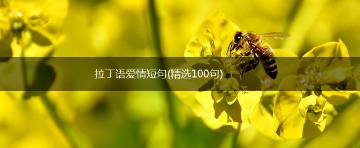 拉丁语爱情短句(精选100句),第1张