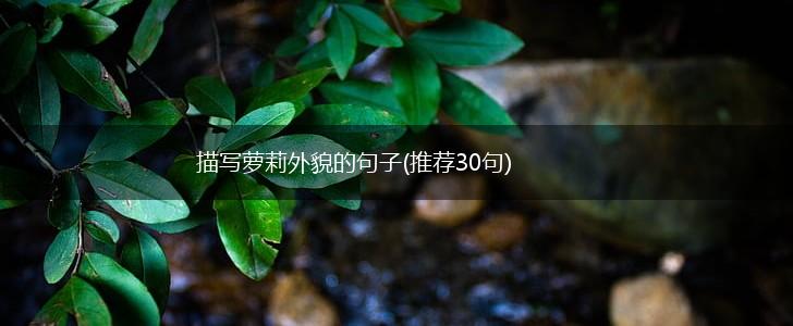 描写萝莉外貌的句子(推荐30句),第1张
