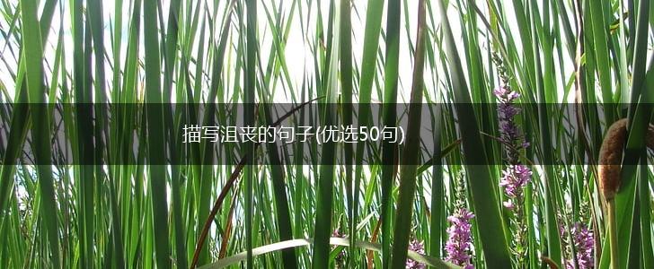 描写沮丧的句子(优选50句),第1张