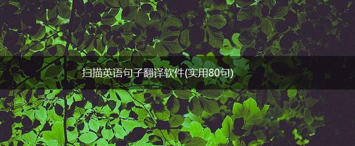 扫描英语句子翻译软件(实用80句),第1张