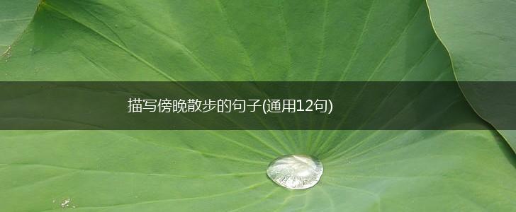 描写傍晚散步的句子(通用12句)
