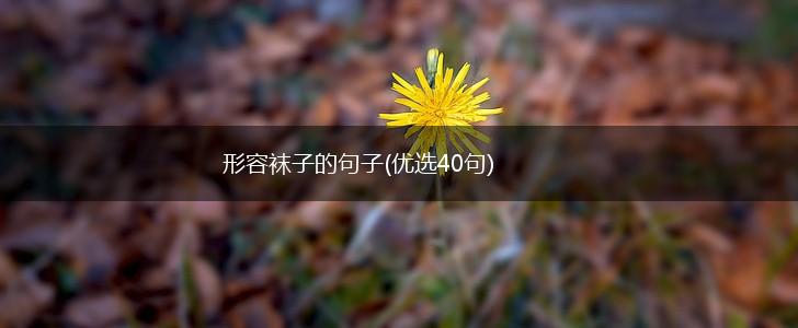 形容袜子的句子(优选40句),第1张