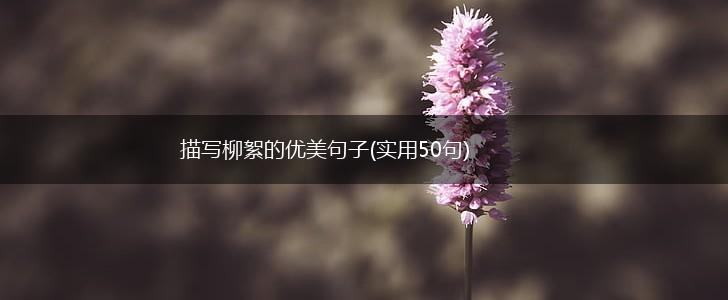 描写柳絮的优美句子(实用50句),第1张
