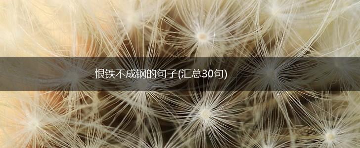恨铁不成钢的句子(汇总30句),第1张