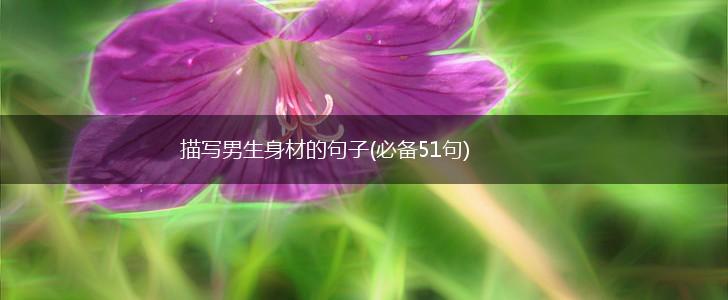 描写男生身材的句子(必备51句),第1张