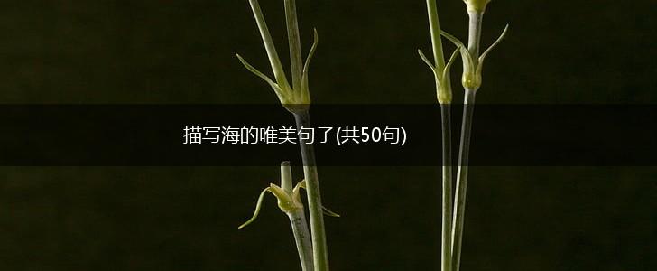 描写海的唯美句子(共50句),第1张