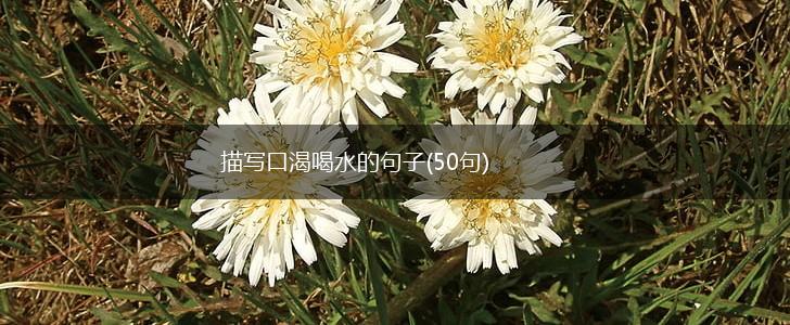 描写口渴喝水的句子(50句),第1张