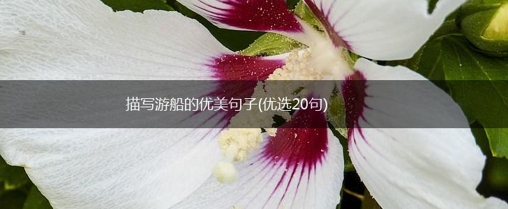 描写游船的优美句子(优选20句),第1张